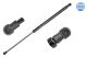 MEYLE Gasfeder, Koffer-/Laderaum 11-40 910 0037