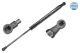 MEYLE Gasfeder, Koffer-/Laderaum 16-14 910 0036