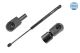 MEYLE Gasfeder, Koffer-/Laderaum 16-40 910 0002