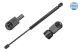 MEYLE Gasfeder, Koffer-/Laderaum 16-40 910 0003
