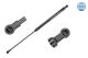 MEYLE Gasfeder, Koffer-/Laderaum 16-40 910 0022