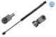 MEYLE Gasfeder, Koffer-/Laderaum 16-40 910 0030