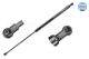 MEYLE Gasfeder, Koffer-/Laderaum 16-40 910 0031