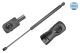 MEYLE Gasfeder, Koffer-/Laderaum 16-40 910 0041
