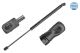 MEYLE Gasfeder, Koffer-/Laderaum 16-40 910 0043