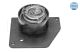MEYLE Spannrolle, Zahnriemen 16-51 902 1004
