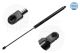 MEYLE Gasfeder, Koffer-/Laderaum 240 161 0040