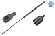 MEYLE Gasfeder, Motorhaube 240 910 0002