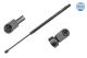MEYLE Gasfeder, Koffer-/Laderaum 240 910 0022