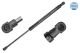 MEYLE Gasfeder, Koffer-/Laderaum 240 910 0029