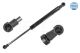MEYLE Gasfeder, Motorhaube 240 910 0034