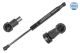 MEYLE Gasfeder, Koffer-/Laderaum 240 910 0036