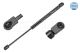 MEYLE Gasfeder, Motorhaube 28-40 910 0010