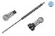 MEYLE Gasfeder, Koffer-/Laderaum 29-40 910 0007