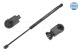 MEYLE Gasfeder, Koffer-/Laderaum 30-40 910 0010