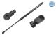 MEYLE Gasfeder, Koffer-/Laderaum 30-40 910 0019