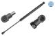 MEYLE Gasfeder, Koffer-/Laderaum 30-40 910 0036