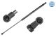 MEYLE Gasfeder, Koffer-/Laderaum 30-40 910 0037
