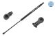 MEYLE Gasfeder, Koffer-/Laderaum 31-40 910 0002