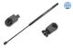 MEYLE Gasfeder, Koffer-/Laderaum 32-40 910 0001