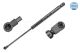 MEYLE Gasfeder, Koffer-/Laderaum 340 910 0006