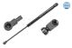 MEYLE Gasfeder, Koffer-/Laderaum 340 910 0009
