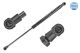 MEYLE Gasfeder, Koffer-/Laderaum 340 910 0029
