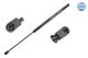 MEYLE Gasfeder, Koffer-/Laderaum 36-40 910 0006
