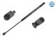 MEYLE Gasfeder, Koffer-/Laderaum 36-40 910 0009
