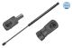 MEYLE Gasfeder, Koffer-/Laderaum 36-40 910 0034