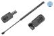 MEYLE Gasfeder, Koffer-/Laderaum 36-40 910 0035