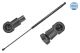 MEYLE Gasfeder, Koffer-/Laderaum 36-40 910 0036