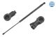 MEYLE Gasfeder, Koffer-/Laderaum 37-40 910 0010