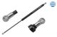 MEYLE Gasfeder, Koffer-/Laderaum 37-40 910 0019