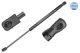 MEYLE Gasfeder, Koffer-/Laderaum 37-40 910 0023