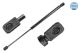 MEYLE Gasfeder, Koffer-/Laderaum 37-40 910 0028