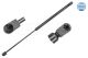 MEYLE Gasfeder, Koffer-/Laderaum 40-40 910 0006