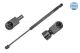 MEYLE Gasfeder, Koffer-/Laderaum 40-40 910 0007