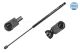 MEYLE Gasfeder, Koffer-/Laderaum 40-40 910 0015