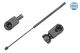 MEYLE Gasfeder, Koffer-/Laderaum 40-40 910 0017