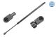 MEYLE Gasfeder, Koffer-/Laderaum 40-40 910 0021