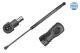 MEYLE Gasfeder, Koffer-/Laderaum 40-40 910 0029
