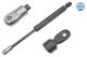MEYLE Gasfeder, Motorhaube 440 160 3065