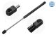 MEYLE Gasfeder, Motorhaube 440 161 0176