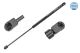 MEYLE Gasfeder, Koffer-/Laderaum 640 910 0005