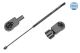 MEYLE Gasfeder, Motorhaube 640 910 0009