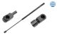 MEYLE Gasfeder, Koffer-/Laderaum 640 910 0022