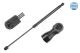 MEYLE Gasfeder, Koffer-/Laderaum 640 910 0024