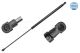 MEYLE Gasfeder, Koffer-/Laderaum 640 910 0025