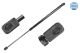 MEYLE Gasfeder, Koffer-/Laderaum 640 910 0037